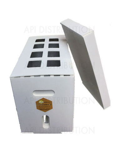 RUCHETTE PLASTIQUE 6 CADRES