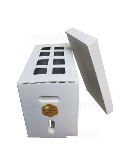 RUCHETTE PLASTIQUE 6 CADRES