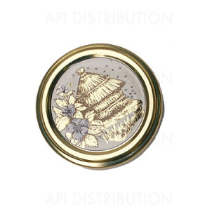 CAPSULES TO 63 RUCHE BRILLANTE /100