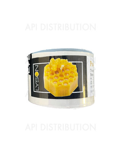 MOULE À BOUGIE ABEILLE SUR ALVEOLES FS464