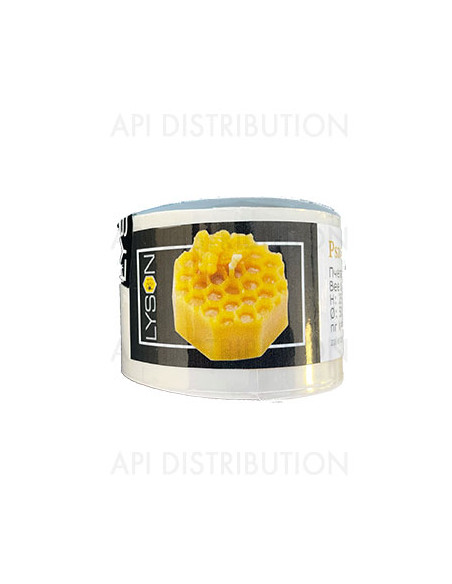 MOULE À BOUGIE ABEILLE SUR ALVEOLES FS464