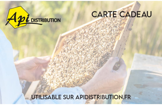 
			                        			Modèle Carte-cadeau Cadre