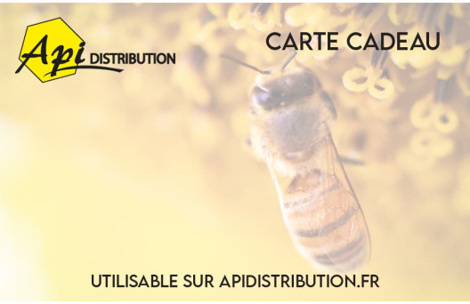 
			                        			Modèle Carte-cadeau Abeille