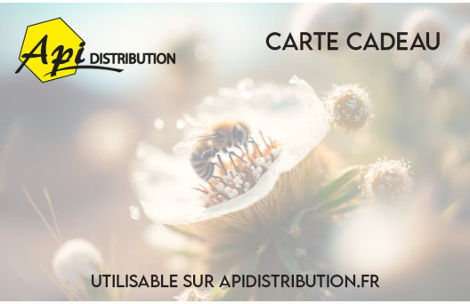 
			                        			Modèle Carte-cadeau Fleur